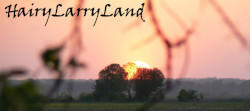 HairyLarryLand Sunrise
