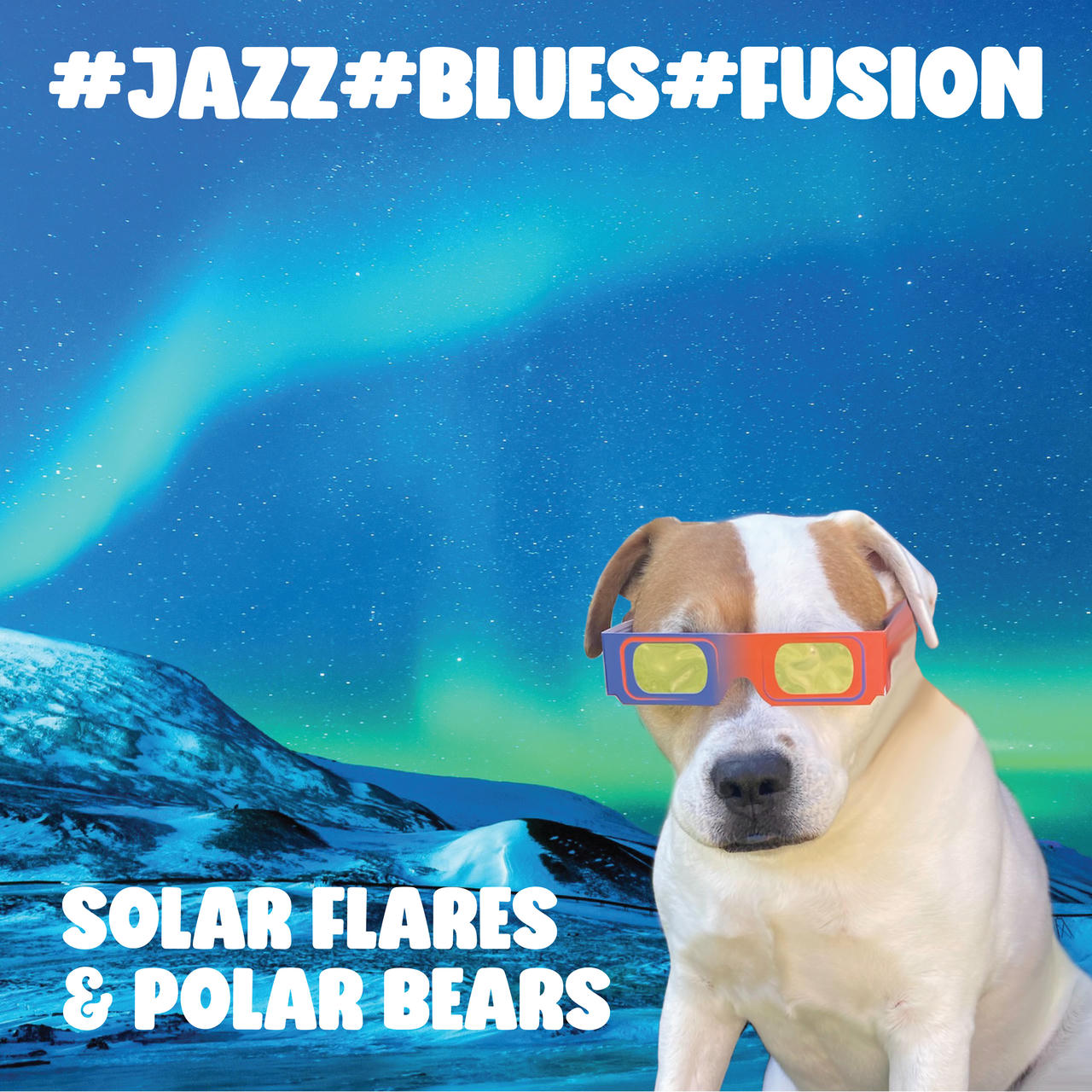 A dog, named Polar Bear, being excessively cool.